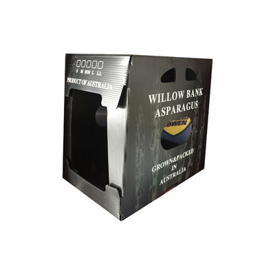 Caja de embalaje de vegetales hecha de plástico corrugado de polipropileno que ofrece una excelente resistencia a la humedad y a las plagas