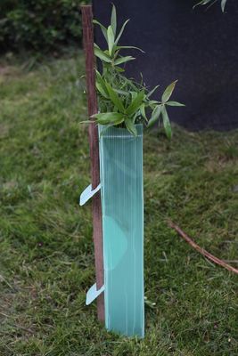 Los PP acanalaron a los guardias plásticos de Corflute Sustainable Tree del guardia del árbol