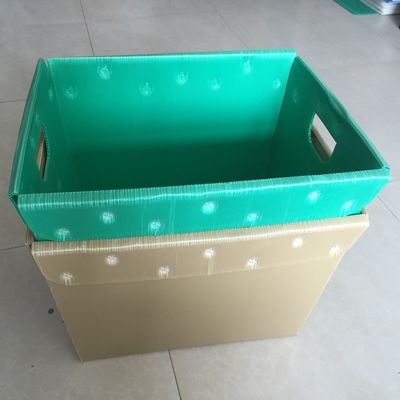 los pescados plásticos 5.5m m acanalados PP de la caja de embalaje de 4.5m m acanalaron el compartimiento