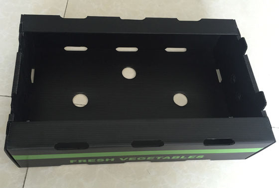 Cajas acanaladas reutilizables de Coroplast del envase de plástico acanalado vegetal