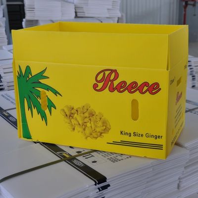 Cajas acanaladas reutilizables de Coroplast del envase de plástico acanalado vegetal