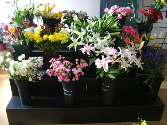 Prenda impermeable rígida de los soportes de exhibición de la flor artificial del soporte de exhibición de la flor de Coroplast
