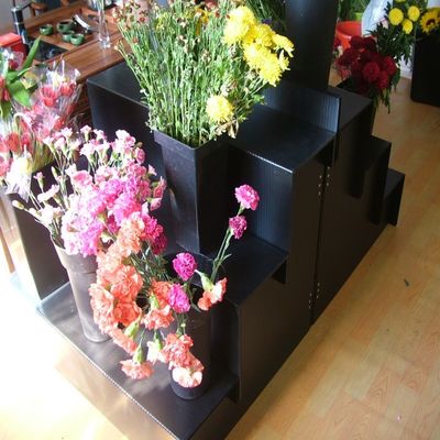 Equipo de exhibición negro de la floristería del paso de los PP 4 del soporte de exhibición floral de Corflute