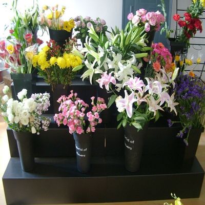 Equipo de exhibición negro de la floristería del paso de los PP 4 del soporte de exhibición floral de Corflute