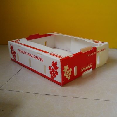 Cajas acanaladas del polipropileno 5m m para la prenda impermeable de empaquetado de la fruta