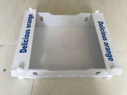 Cajas acanaladas del polipropileno 5m m para la prenda impermeable de empaquetado de la fruta