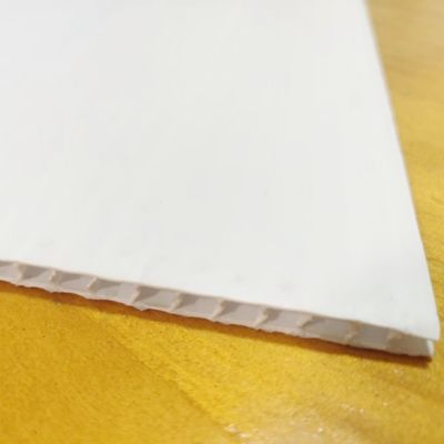 El tablero hueco Coroplast del polipropileno del OEM acanaló prenda impermeable plástica