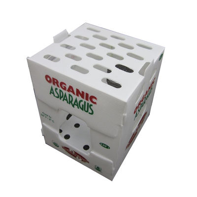 La prenda impermeable 5m m acanaló las cajas plásticas acanaladas reutilizables plásticas de los PP de los compartimientos de almacenamiento