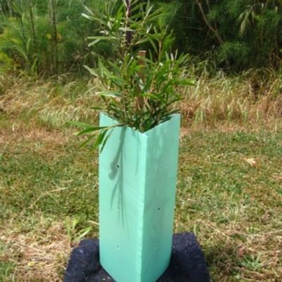 Corflute acanaló a guardias plásticos plásticos del árbol del abrigo 2m m del árbol difícilmente