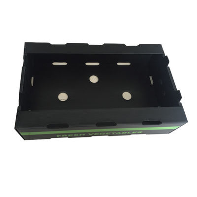 Cajas de envío vegetales plásticas acanaladas de Coroplast de la fruta de la caja de embalaje el anti-corrosivo