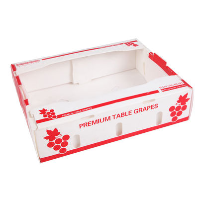 Cajas de envío vegetales plásticas acanaladas de Coroplast de la fruta de la caja de embalaje el anti-corrosivo