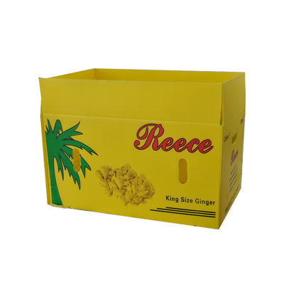 Cajas de envío vegetales plásticas acanaladas de Coroplast de la fruta de la caja de embalaje el anti-corrosivo