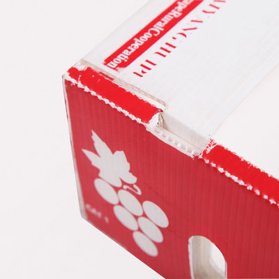Cajas de cartón del recién hecho de Corflute Coroplast Kiwi Fruit Packing Box