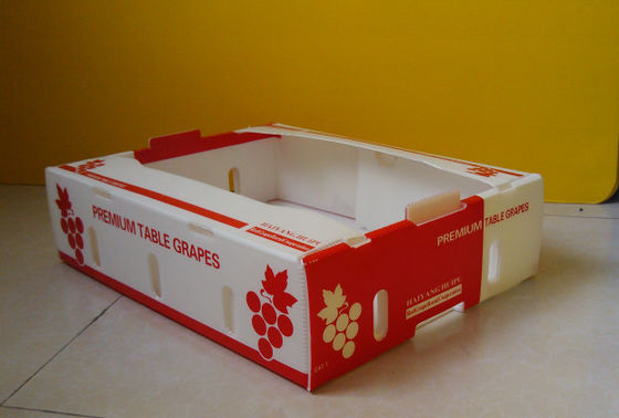Cajas de cartón del recién hecho de Corflute Coroplast Kiwi Fruit Packing Box