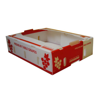 El mango modificado para requisitos particulares de Corflute acanaló la preservación de la frescura de la caja
