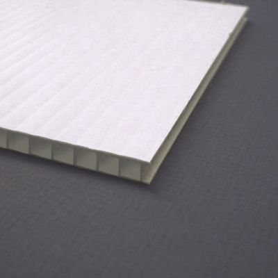 Tablero hueco de la pared del plástico transparente claro gemelo de Coroplast 4x8 Coroplast