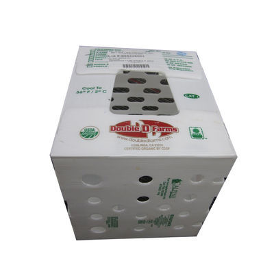 Las verduras frescas multicoloras acanalaron la caja acanalada de las cajas 3m m PP