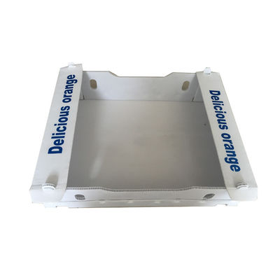El envío a todo color de Coroplast encajona las cajas plásticas acanaladas 4m m plegables de 3m m