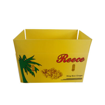 amarillo plegable acanalado 3m m plástico de las cajas de almacenamiento de Coroplast de las cajas de 2m m