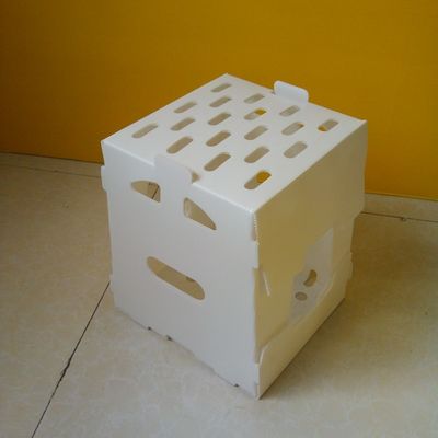 El volumen de ventas PP acanaló las cajas de almacenamiento de Corflute del hueco de la caja plástica