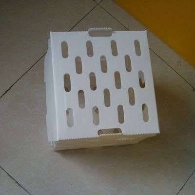 El volumen de ventas PP acanaló las cajas de almacenamiento de Corflute del hueco de la caja plástica