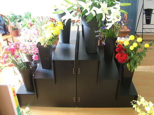 Paso plástico acanalado del paso 4 del soporte de exhibición floral 3 para la floristería