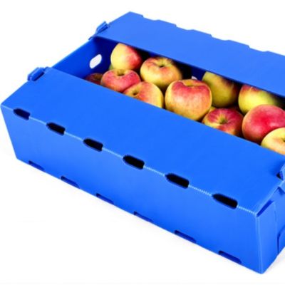 Fruta azul de Coroplast Apple que empaqueta resistente de humedad del polipropileno de la caja