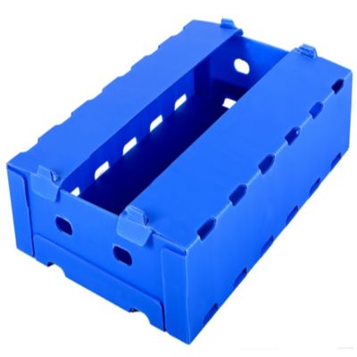 Fruta azul de Coroplast Apple que empaqueta resistente de humedad del polipropileno de la caja