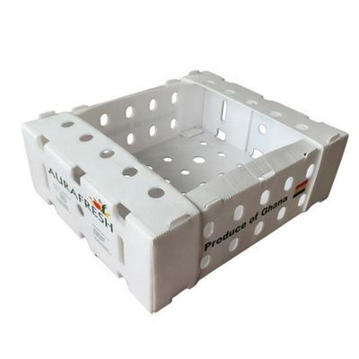 Caja de embalaje vegetal reutilizable de empaquetado de las cajas del tomate plegable de Coroplast