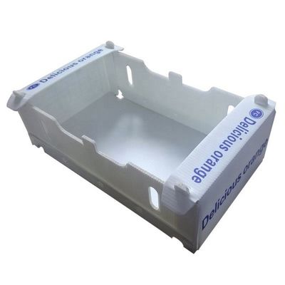 Caja de embalaje vegetal reutilizable de empaquetado de las cajas del tomate plegable de Coroplast