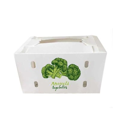 Caja de embalaje vegetal reutilizable de empaquetado de las cajas del tomate plegable de Coroplast