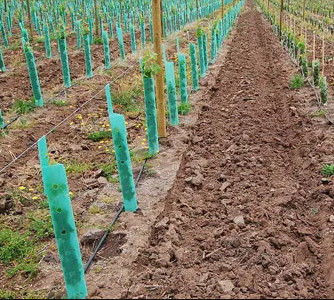 El árbol acanalado de Corflute guarda a guardias del árbol del polipropileno de 3m m