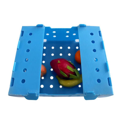 Cajas de embalaje de empaquetado del melocotón de Coroplast del verde de la caja de la fruta del polipropileno