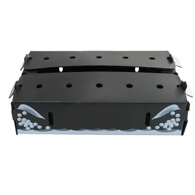 Caja de empaquetado de la verdura negra de Corflute PP para las frutas y los pescados