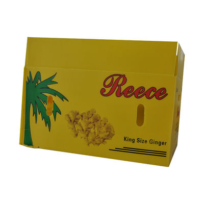 Cajas plásticas acanaladas 3m m reutilizables de empaquetado de la caja 4m m de la fruta del espárrago