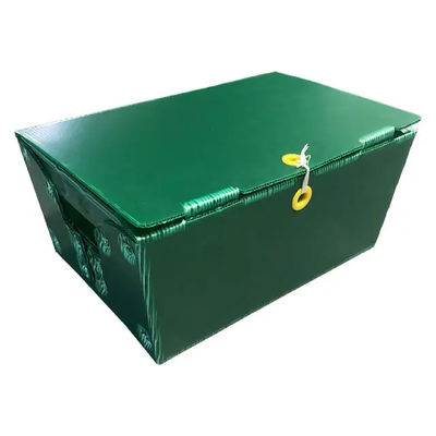 Rígido postal de Tote Corrugated Plastic Boxes Bins del correo del polipropileno modificado para requisitos particulares con las manijas