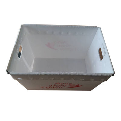 Correo postal Tote Hollow Boxes Bins Rigid de los PP modificado para requisitos particulares con las manijas