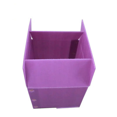 Caja de almacenamiento plástica acanalada de empaquetado vegetal ligera rígida de la caja