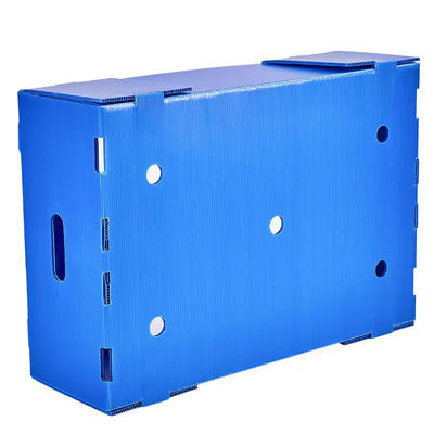 El transporte del almacenamiento de la fruta acanaló la caja de embalaje de la fruta del polipropileno de la caja plástica