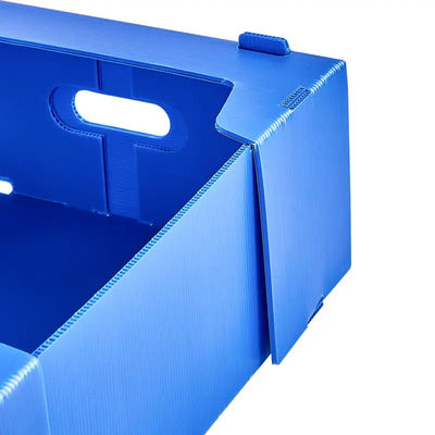 El transporte del almacenamiento de la fruta acanaló la caja de embalaje de la fruta del polipropileno de la caja plástica