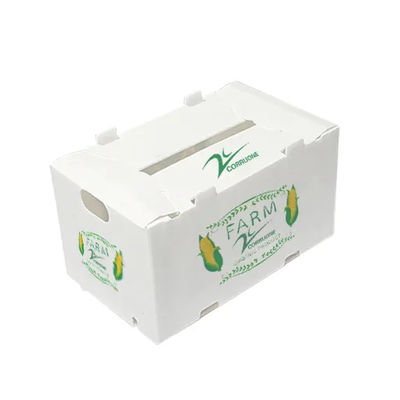 El polipropileno acanaló el transporte plástico del almacenamiento del embalaje de la caja de la fruta