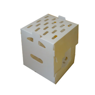Caja de embalaje de vegetales de polipropileno de plástico corrugado de PP personalizado