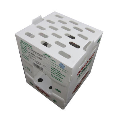 Caja de embalaje de vegetales de polipropileno de plástico corrugado de PP personalizado