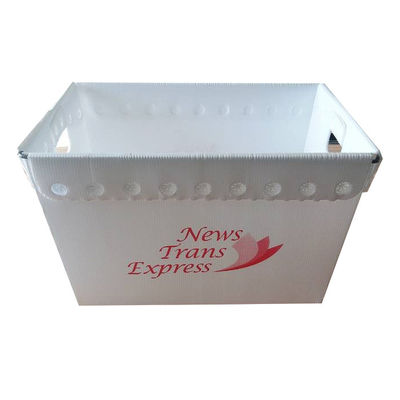 Residual PP corrugado caja de plástico de correo de peso ligero personalizado