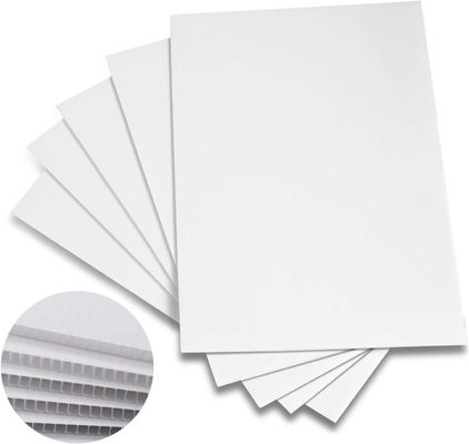 Hoja de plástico corrugada de PP Corflute Board Plegable Ligero Personalizado Durable