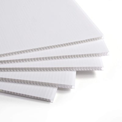 Plancha corrugada de polipropileno Coroplast Lightweight Plegable personalizado