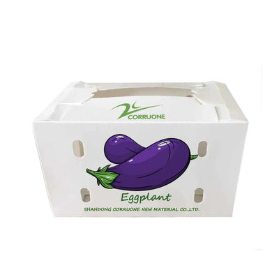 Caja de vegetales de polipropileno coroplástico personalizado de plástico corrugado de PP