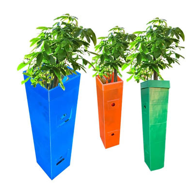 Protector para árboles de polipropileno corflute protector de vid de plástico corrugado