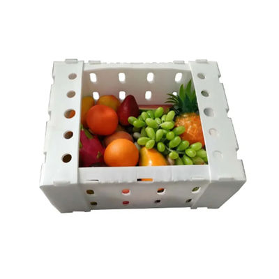 Caja de embalaje de vegetales de polipropileno de plástico corrugado de PP personalizada