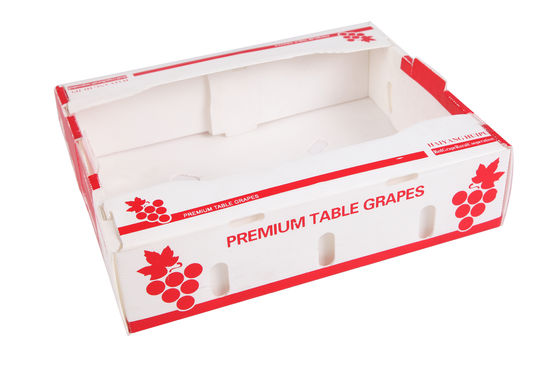 Caja de embalaje de vegetales de polipropileno de plástico corrugado de PP personalizada